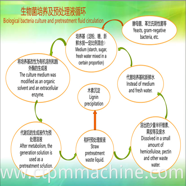 Bagasse Pulp Making System